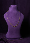 The Akshaya Glimmer Gold Thali Chain